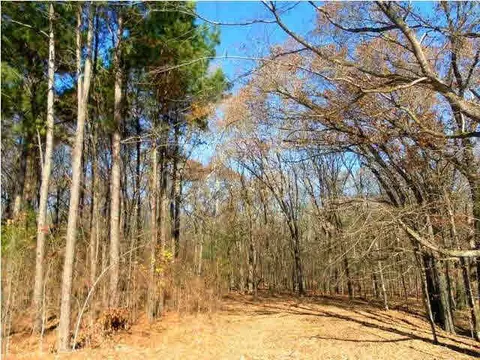 130 Brisco St, Madison, MS 39110 photo 17