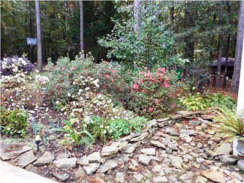 5071 Warner Dr, Brandon, MS 39042 photo 44