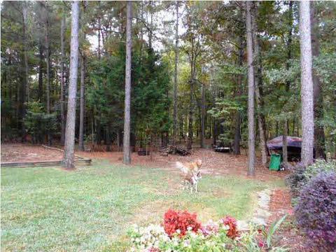 5071 Warner Dr, Brandon, MS 39042 photo 43