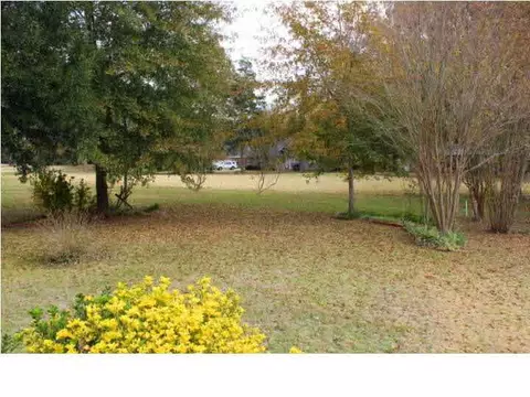809 W Deerfield, Canton, MS 39046 photo 48