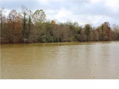 116 Arrowhead Trl, Brandon, MS 39047 photo 49