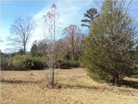 1053 Trickham Bridge Rd, Brandon, MS 39042 photo 7