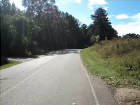 1053 Trickham Bridge Rd, Brandon, MS 39042 photo 16