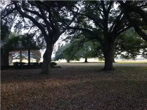 1309 Highway 49, Flora, MS 39071 photo 22