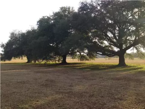 1309 Highway 49, Flora, MS 39071 photo 21