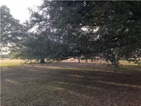 1309 Highway 49, Flora, MS 39071 photo 23