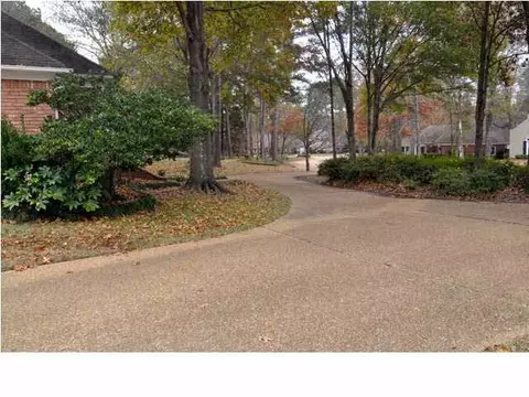 127 Spring Oak Dr, Madison, MS 39110 photo 8