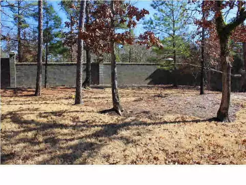 160 Wind Dance Dr, Madison, MS 39110 photo 49