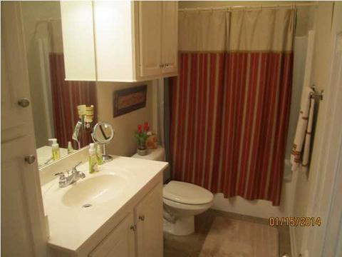 229 Blackbridge Dr, Brandon, MS 39042 photo 22