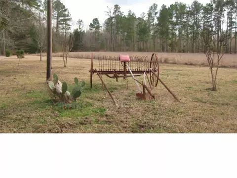 123 Dummy Line Rd, Canton, MS 39046 photo 5