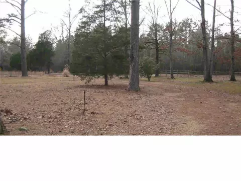 123 Dummy Line Rd, Canton, MS 39046 photo 3