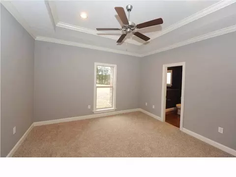 220 Bream Pond Ln, Brandon, MS 39047 photo 11
