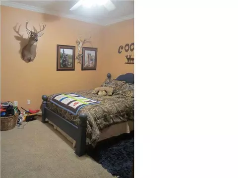 1344 Olivia Ln, Terry, MS 39170 photo 22
