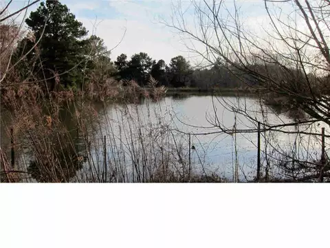 5195 Highway 27, Edwards, MS 39066 photo 18
