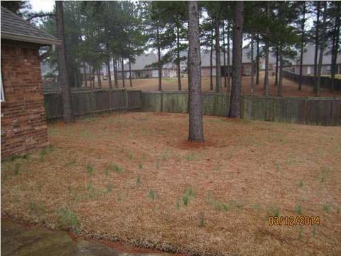127 Devlin Spring Dr, Madison, MS 39110 photo 21