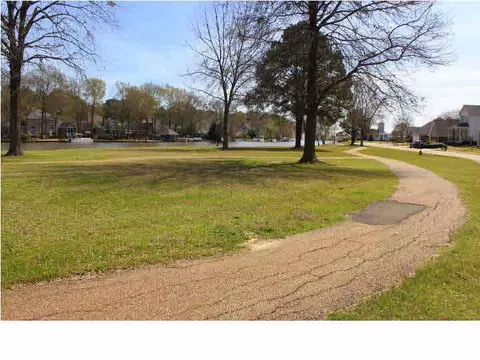 239 Bayview Dr, Madison, MS 39110 photo 47