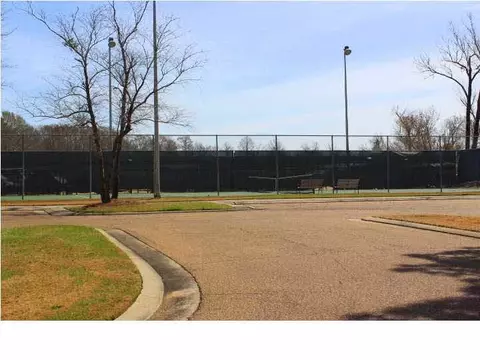 239 Bayview Dr, Madison, MS 39110 photo 49
