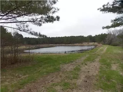 2300 Haley Rd, Terry, MS 39170 photo 29