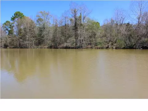 112 Arrowhead Trl, Brandon, MS 39047 photo 44