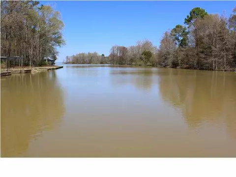 112 Arrowhead Trl, Brandon, MS 39047 photo 45