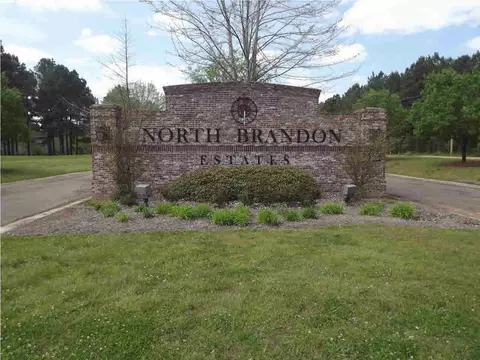 960 Ridgeside Dr, Brandon, MS 39042 photo 24