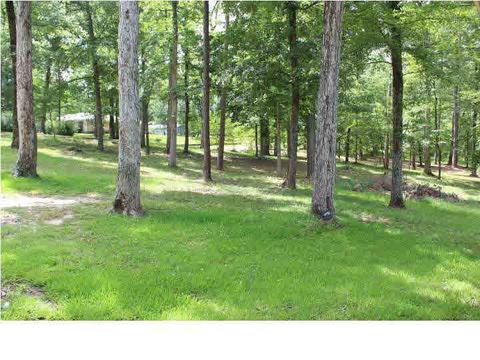 137 Eldorado Cir, Pearl, MS 39208 photo 50