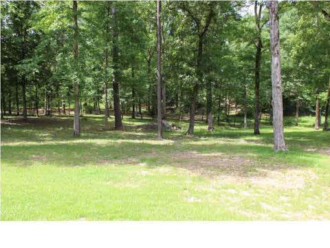 137 Eldorado Cir, Pearl, MS 39208 photo 49
