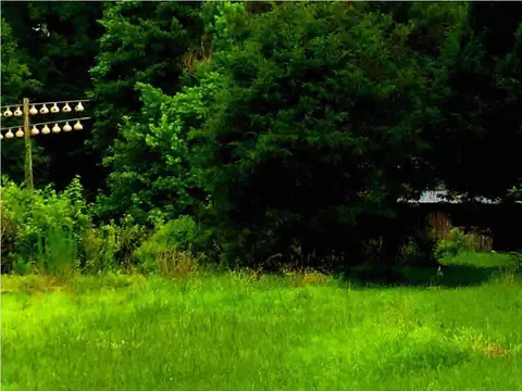 2885 Davis Rd, Terry, MS 39170 photo 25