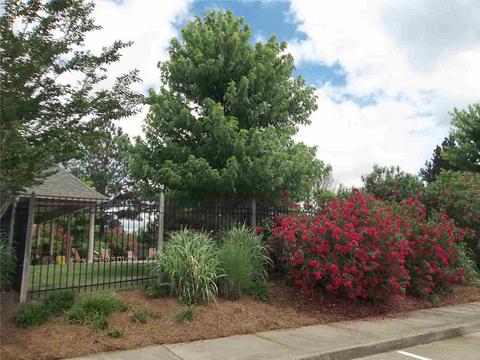 110 Providence Dr, Madison, MS 39110 photo 34