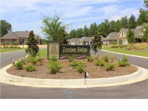 141 Buckhead Dr, Madison, MS 39110 photo 41