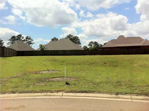 113 Willow Crest Cir, Brandon, MS 39047 photo 1
