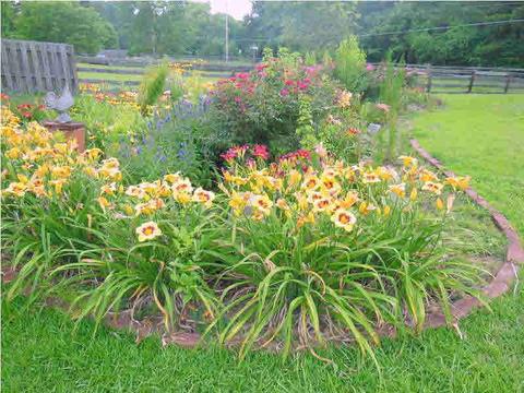 4317 Lakeshore Dr, Brandon, MS 39042 photo 5