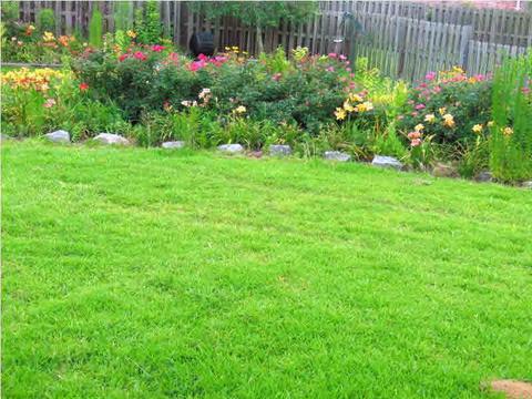 4317 Lakeshore Dr, Brandon, MS 39042 photo 6