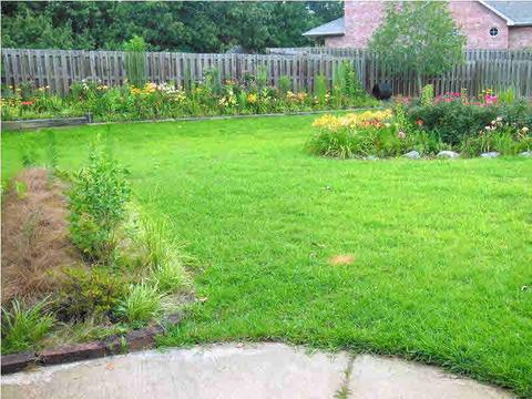 4317 Lakeshore Dr, Brandon, MS 39042 photo 38