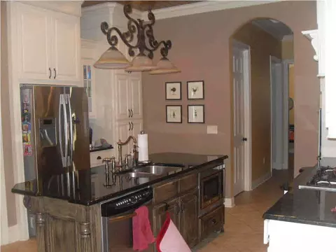 113 Persimmon Pl, Madison, MS 39110 photo 9