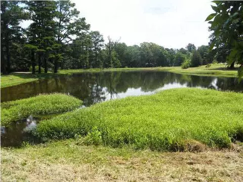 132 Long Dr, Florence, MS 39073 photo 5