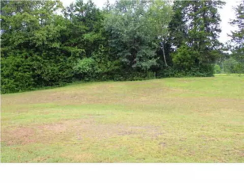 1160 Old Jackson Rd, Terry, MS 39170 photo 48