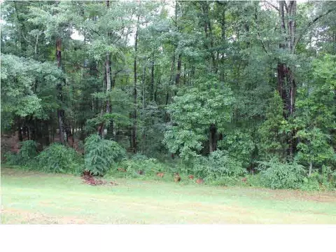 1160 Old Jackson Rd, Terry, MS 39170 photo 5