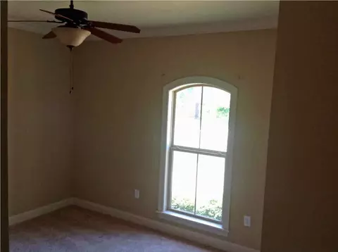 183 Provonce Park, Brandon, MS 39042 photo 23