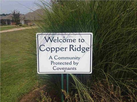 116 Copper Ridge Ln, Florence, MS 39073 photo 49