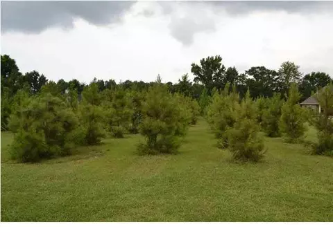 145 Munich Dr, Madison, MS 39110 photo 40