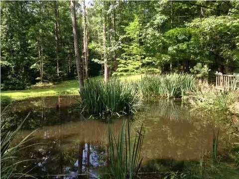 101 Cedar Hill Pl, Brandon, MS 39042 photo 2