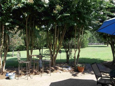 113 Elizabeth Ave, Madison, MS 39110 photo 30