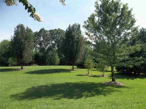 113 Elizabeth Ave, Madison, MS 39110 photo 33