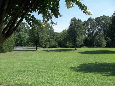 113 Elizabeth Ave, Madison, MS 39110 photo 32