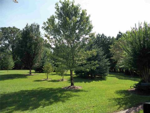 113 Elizabeth Ave, Madison, MS 39110 photo 34