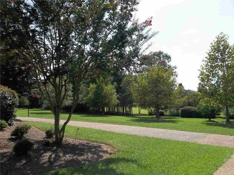 113 Elizabeth Ave, Madison, MS 39110 photo 3