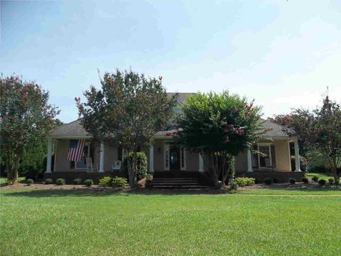113 Elizabeth Ave, Madison, MS 39110 photo 36