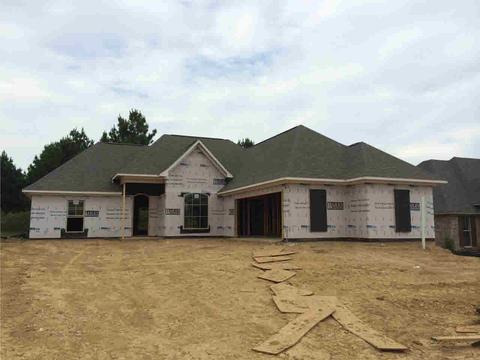 229 Fieldstone Ln, Madison, MS 39110 photo 1