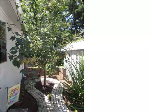 213 Van Doren St, Pearl, MS 39208 photo 37